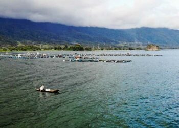 Langgam.id - Bupati Kabupaten Agam, Andri Warman mengungkapkan keinginannya terkait pengelolaan Keramba Jaring Apung (KJA) di Danau Maninjau.