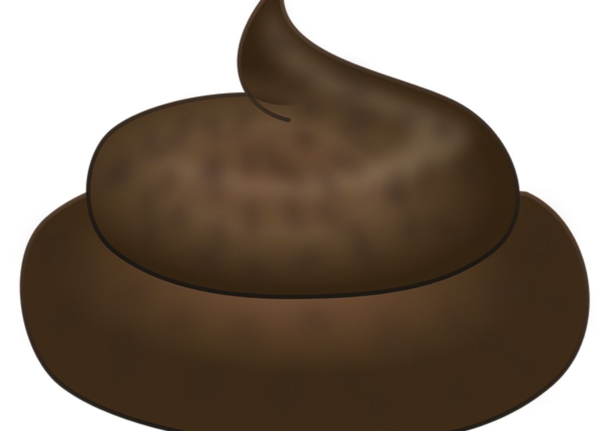 Berita terbaru: Hampir 70 persen dari 20.000 sumber air minum rumah tangga yang diuji di Indonesia dalam sebuah studi baru tercemar limbah tinja dan turut menyebabkan penyebaran penyakit diare, yang merupakan penyebab utama kematian balita.