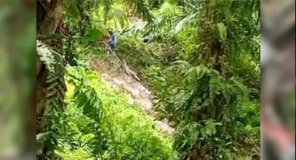 Ambulans Jatuh ke Jurang di Solok, Polisi: Jalan Ekstrem, Curam dan Berlubang