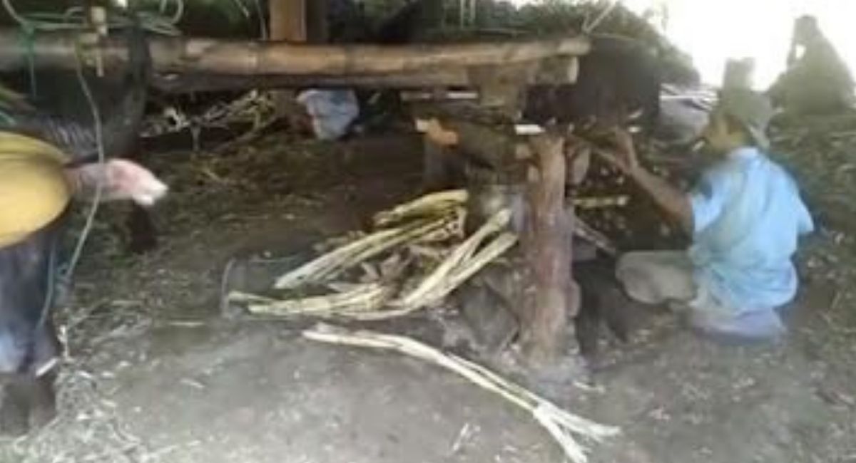 Dilirik Dirjen Kebudayaan, Ini Potensi Nagari Sungai Landia di Agam