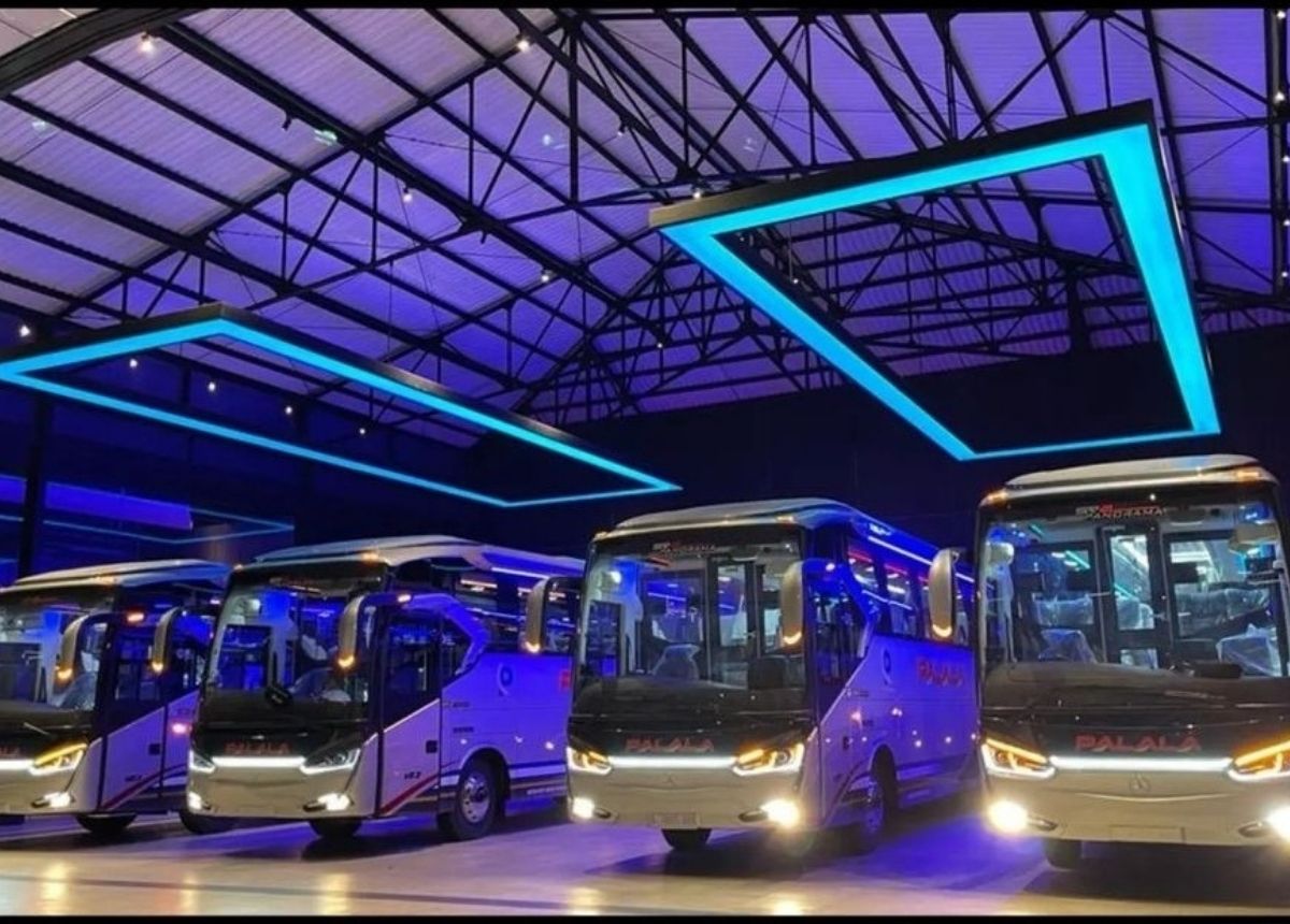 Langgam.id PO Palala rilis 4 bus baru