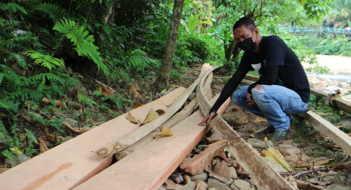 Ilegal Logging di Pesisir Selatan, Dandim 0311 Warning Pelaku dan Pembeking