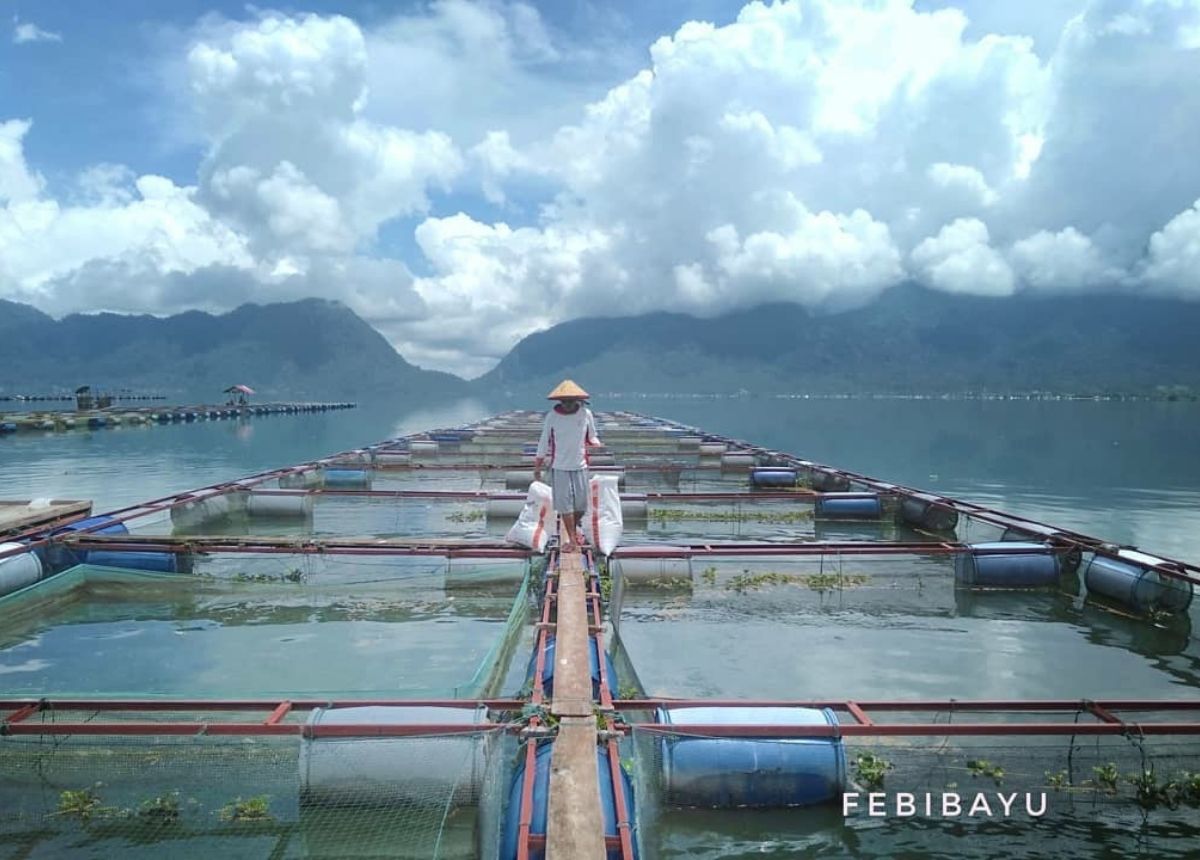 Berita Sumbar terbaru dan terkini hari ini: KPK menemukan sejumlah masalah yang menyebabkan kerusakan di Danau Maninjau.