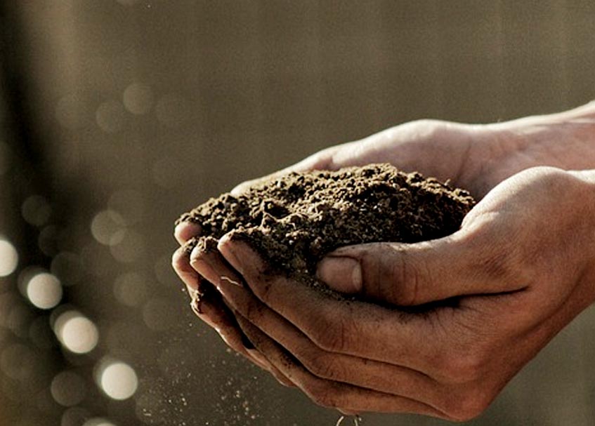 Berita Sumbar terbaru dan terkini hari ini: Mahyeldi Ansharullah telah mengambil dan membawa tanah dari Pasaman Barat untuk IKN.