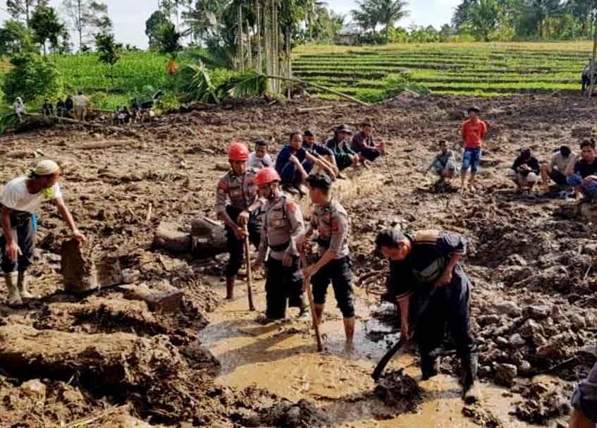 Berita Gempa Pasaman Barat terbaru dan terkini hari ini: Pencarian korban hilang akibat gempa di Pasaman libatkan anjing pelacak Polda Sumbar.