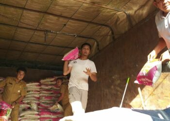 Berita Sumbar terbaru dan terkini hari ini: BPBD Sumbar menerima bantuan 25 ton beras dari Pemkab Muba, Sumsel, untuk korban gempa Pasbar. 
