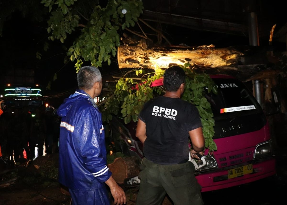 Berita Padang - berita Sumbar terbaru dan terkini hari ini: Satu bus Talago Jaya jurusan Padang-Payakumbuh, tertimpa pohon tumbang