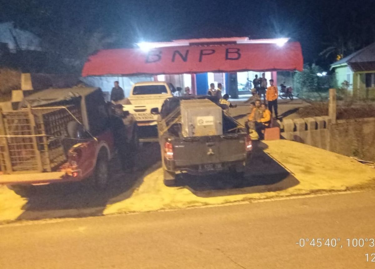 Berita Kota Solok - berita Sumbar terbaru dan terkini hari ini: Harimau sumatra membuat heboh karena berkeliaran pemukiman di Kota Solok.