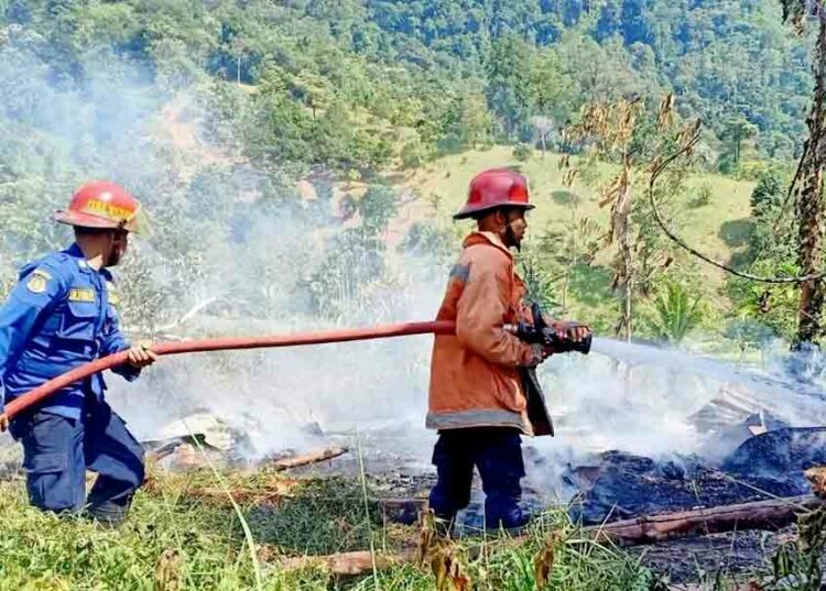 Berita Padang - berita Sumbar terbaru dan terkini hari ini: Catatan Damkar Kota Padang, 20 kebakaran lahan telah terjadi sebulan belakangan.