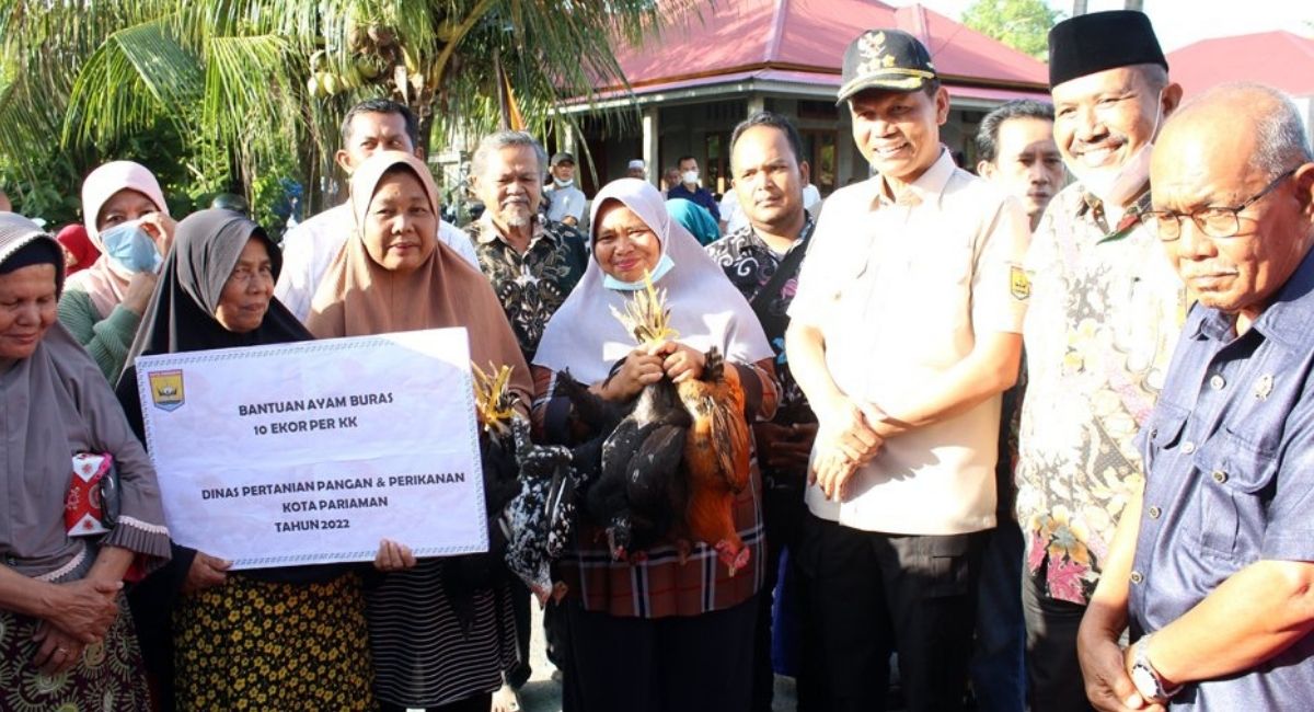Pemko Pariaman Serahkan Bantuan 200 Ekor Ayam Petelur