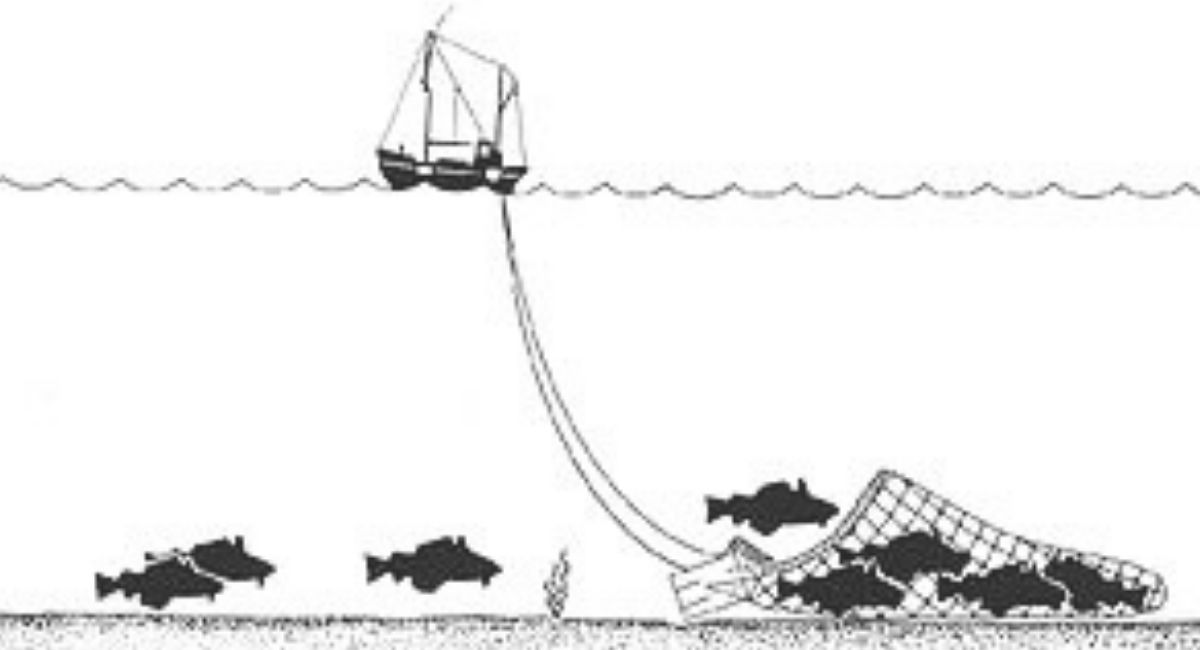 rakor-dkp-sumbar-alat-tangkap-ikan-terlarang-marak-di-pesisir-selatan