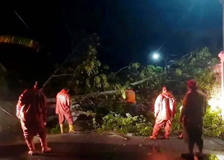 Berita Padang - berita Sumbar terbaru dan terkini hari ini: Sebanyak 20 pohon dilaporkan tumbang akibat hujan dan angin kencang di Padang.