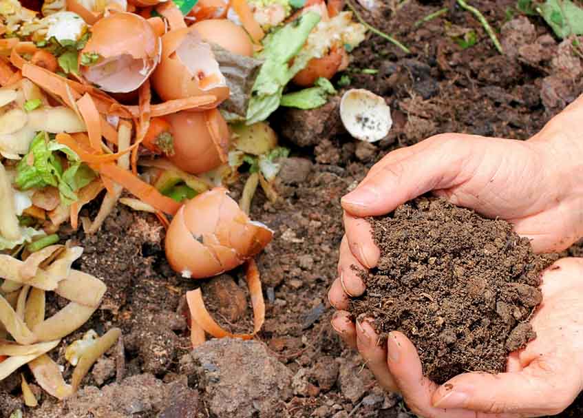 Berita Sumbar terbaru dan terkini hari ini: SPI menilai, ajakan gubernur untuk penggunaan pupuk organik itu percuma, karena harus ada gerakan.