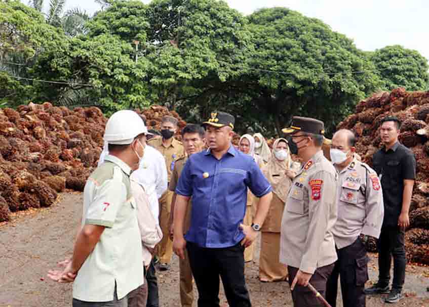 Berita Dharmasraya - berita Sumbar terbaru dan terkini hari ini: Kata Sutan Riska, jika ada perusahaan tolak TBS rakyat izin akan dievaluasi.
