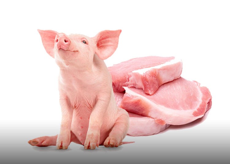 Langgam.id - Karantina Pertanian Padang menggagalkan pengiriman 200 kilogram daging babi segar ke Kabupaten Kepulauan Mentawai.