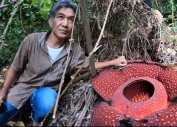 Joni Hartono, penangkar Bunga Rafflesia dari Palupuh, Agam. (Foto: Dok. Interes)