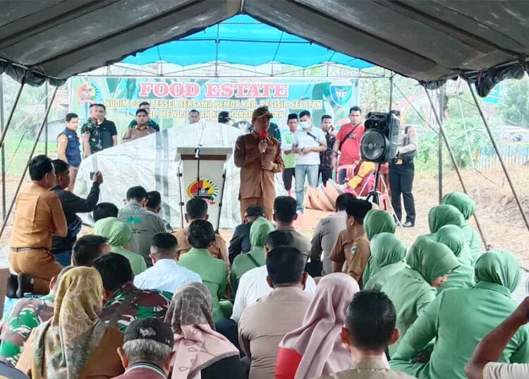 Langgam.id - Wakil Bupati (Wabup) Pesisir Selatan (Pessel) Rudi Hariyansyah mengajak masyarakat untuk memanfaatkan lahan kosong.