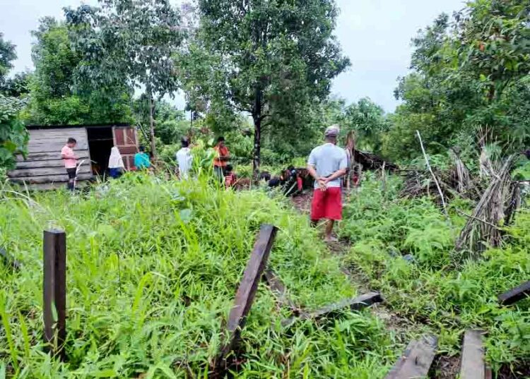 Langgam.id - Sebanyak 494 KK di Desa Simalegi, Kecamatan Siberut Barat, Kabupaten Kepulauan Mentawai mengungsi pasca tiga kali gempa.