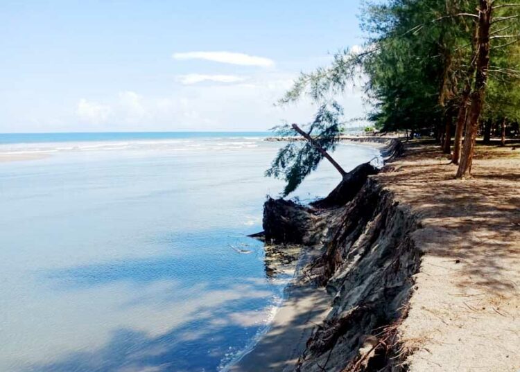 Langgam.id - Sebanyak 7.000 KK di tiga jorong yang bermukim di sepanjang Pantai Sasak, Pasaman Barat terancam abrasi pantai.