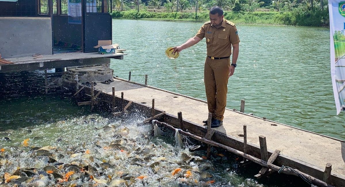 Petani Ikan di Pasaman Butuh Tambahan Jaringan dan Akses Jalan