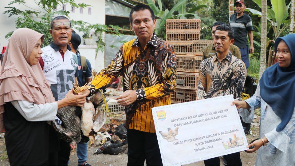 50 KK Warga Pariaman Terima Bantuan Indukan Ayam Kube