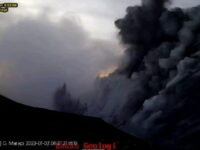 Erupsi Gunung Marapi, BKSDA Sumbar Pantau Pergerakan Satwa