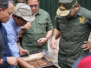 Wagub Sumbar Serahkan Bantuan 600 Bibit Jengkol di Pasaman