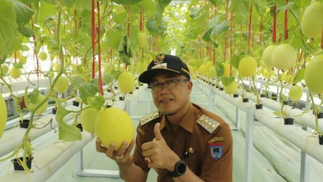 Rekomendasi Wako: Kisai Agro, Kafe Edukasi Pertanian di Payakumbuh