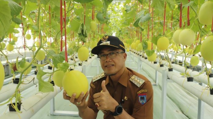 Rekomendasi Wako: Kisai Agro, Kafe Edukasi Pertanian di Payakumbuh