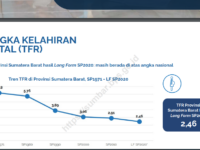 BPS: Ibu di Sumbar Rerata Melahirkan 6-7 Anak pada 1971, Terkini 2-3 Saja
