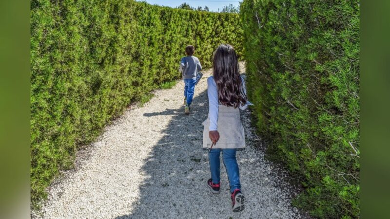 2 Anak Berbohong Soal Diculik, PKBI Sumbar: Evaluasi Keluarga Terhadap Pola Asuh