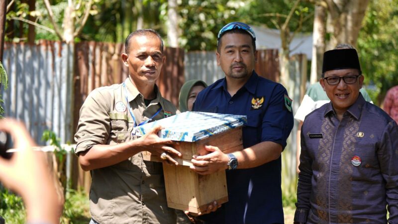 Sumbar Agresif Budidaya Lebah Madu Galo-galo, Harga 1 Liter Mencapai Rp1 Juta