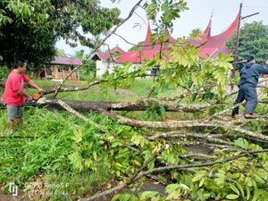 Hujan disertai angin kencang melanda Kota Payakumbuh. Akibat hujan dan angin kencang ini, ditemukan pohon tumbang dan