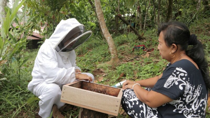 Melawan Tambang, Merawat Lebah Madu