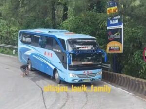 Aksi heroik seorang pria berbaju hitam yang melakukan penyelamatan terhadap bus ANS yang mengalami rem blong di kawasan Sitinjau Lauik.