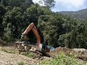 Sebanyak 11 orang dilaporkan meninggal dan 25 orang lainnya masih tertimbun di lokasi tambang emas di Sungai Abu, Kecamatan Hiliran Gumanti,