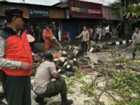 Pengemudi ojek online (ojol) tertimpa pohon tumbang di jalan persimpangan Ranah Parak Rumbio, Kelurahan Ranah Parak Rumbio, Padang Selatan,