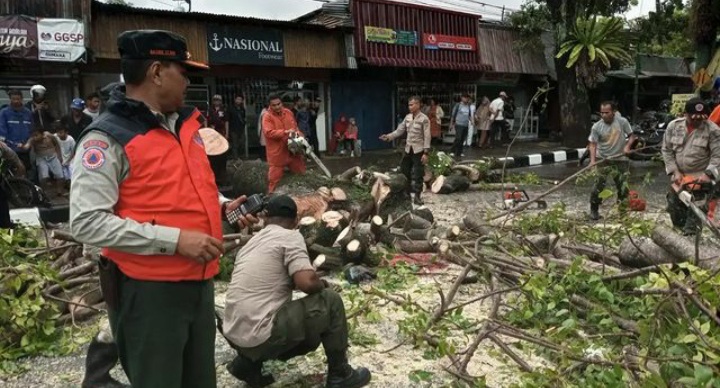 Pengemudi ojek online (ojol) tertimpa pohon tumbang di jalan persimpangan Ranah Parak Rumbio, Kelurahan Ranah Parak Rumbio, Padang Selatan,