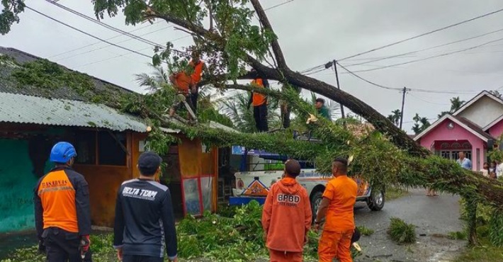 Wako Padang Hendri Septa menyebut pohon yang tumbang yang menyebabkan satu orang driver ojek online (Ojol) meninggal dunia di Kelurahan Ranah