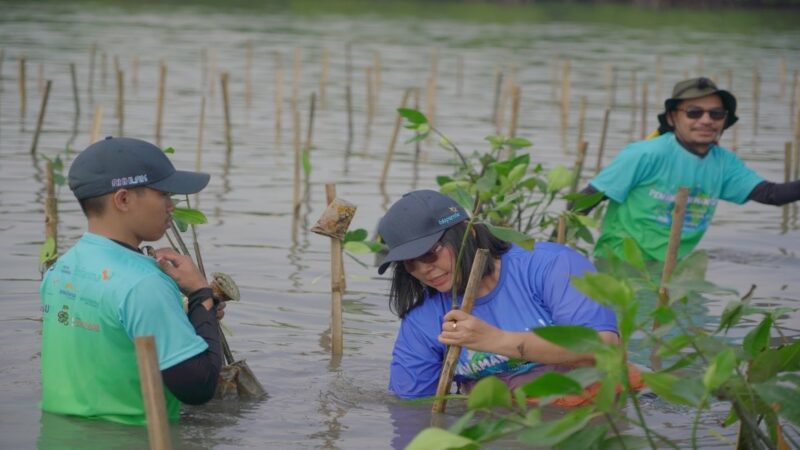 Hari Lingkungan Hidup Sedunia, Bio Farma Tanam 5.500 Mangrove di Subang