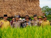 Plt Kepala Dinas Pertanian Kota Padang, Yoice Yuliani mengatakan, sampai H-10 pergelaran Penas Tani XVI di Kota Padang, Sumatra Barat