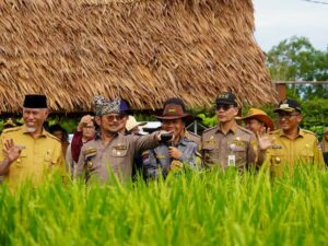 Plt Kepala Dinas Pertanian Kota Padang, Yoice Yuliani mengatakan, sampai H-10 pergelaran Penas Tani XVI di Kota Padang, Sumatra Barat