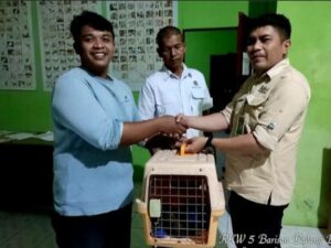 BKSDA Sumbar kembali menerima tiga ekor hewan yang dilindungi dari warga Kecamatan Lubuk Alung, Kabupaten Padang Pariaman.