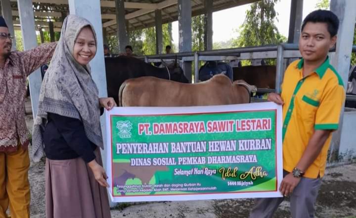 Pemerintah Kabupaten (Pemkab) Dharmasraya bekerjasama dengan LKKS melakukan penyerahan hewan kurban pada Selasa (27/6/2023).