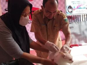 Bagi masyarakat Padang Panjang yang memiliki hewan peliharaan dengan penular rabies seperti kucing, anjing dan kera, bisa mengikuti vaksinasi massal rabies yang dimulai Senin