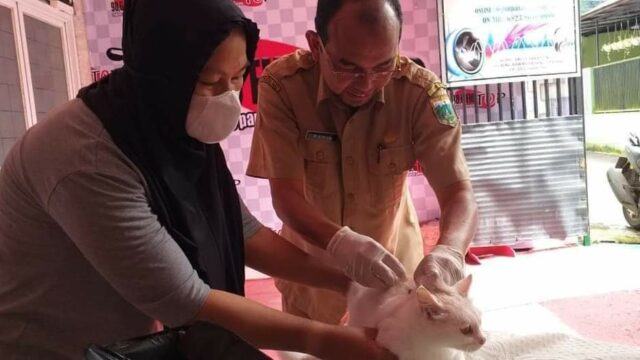 Bagi masyarakat Padang Panjang yang memiliki hewan peliharaan dengan penular rabies seperti kucing, anjing dan kera, bisa mengikuti vaksinasi massal rabies yang dimulai Senin