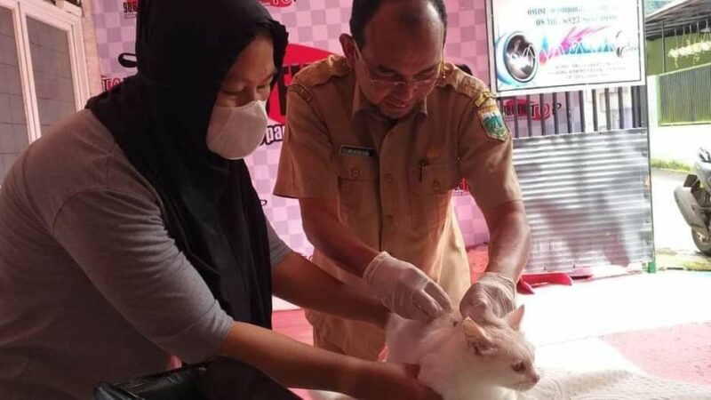 Bagi masyarakat Padang Panjang yang memiliki hewan peliharaan dengan penular rabies seperti kucing, anjing dan kera, bisa mengikuti vaksinasi massal rabies yang dimulai Senin
