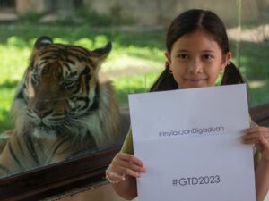 Hari Harimau Sedunia, Momentum Pentingnya Menjaga Habitat Harimau Sumatra