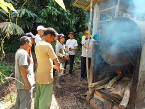 Minyak Kayu Putih Sumber Ekonomi Baru Tanjung Bonai Aur Sijunjung