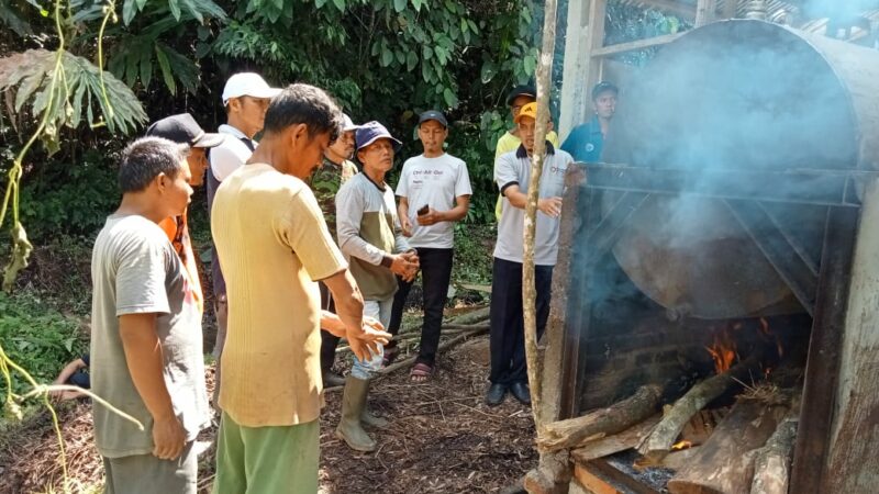 Minyak Kayu Putih Sumber Ekonomi Baru Tanjung Bonai Aur Sijunjung